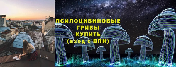 хмурый Протвино