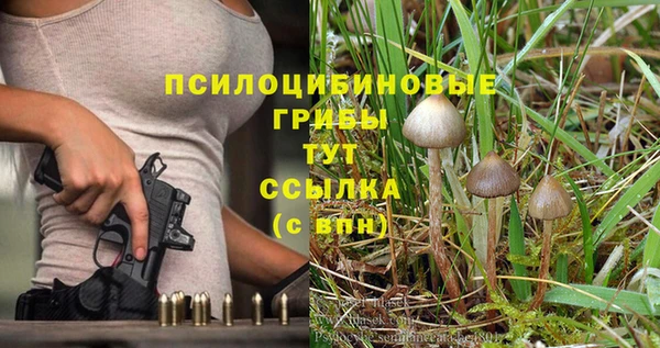 хмурый Протвино