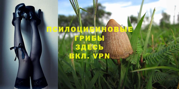 хмурый Протвино